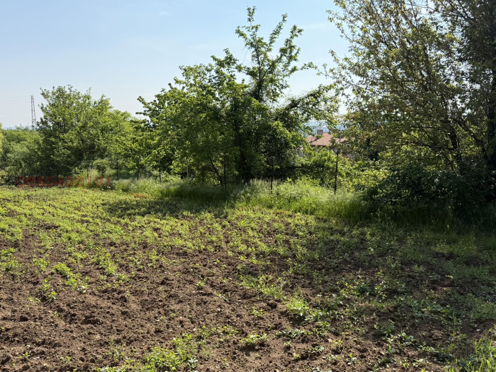 Продава ЗЕМЕДЕЛСКА ЗЕМЯ, гр. Асеновград, област Пловдив, снимка 2 - Земеделска земя - 54494813
