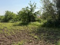 Продава ЗЕМЕДЕЛСКА ЗЕМЯ, гр. Асеновград, област Пловдив, снимка 2