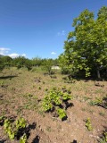 Продава ЗЕМЕДЕЛСКА ЗЕМЯ, гр. Асеновград, област Пловдив, снимка 5