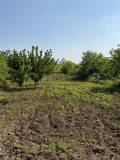 Продава ЗЕМЕДЕЛСКА ЗЕМЯ, гр. Асеновград, област Пловдив, снимка 3