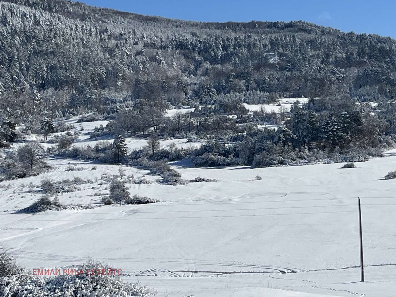 ������� ������ | Imot.bg � ����������� 8