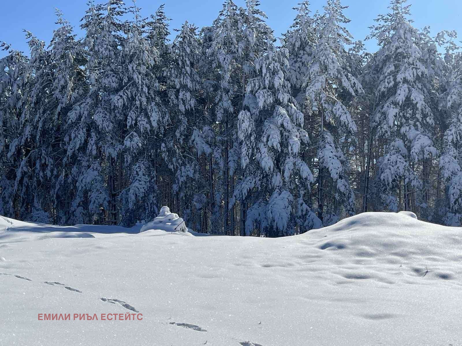 ������� ������ | Imot.bg � ����������� 10