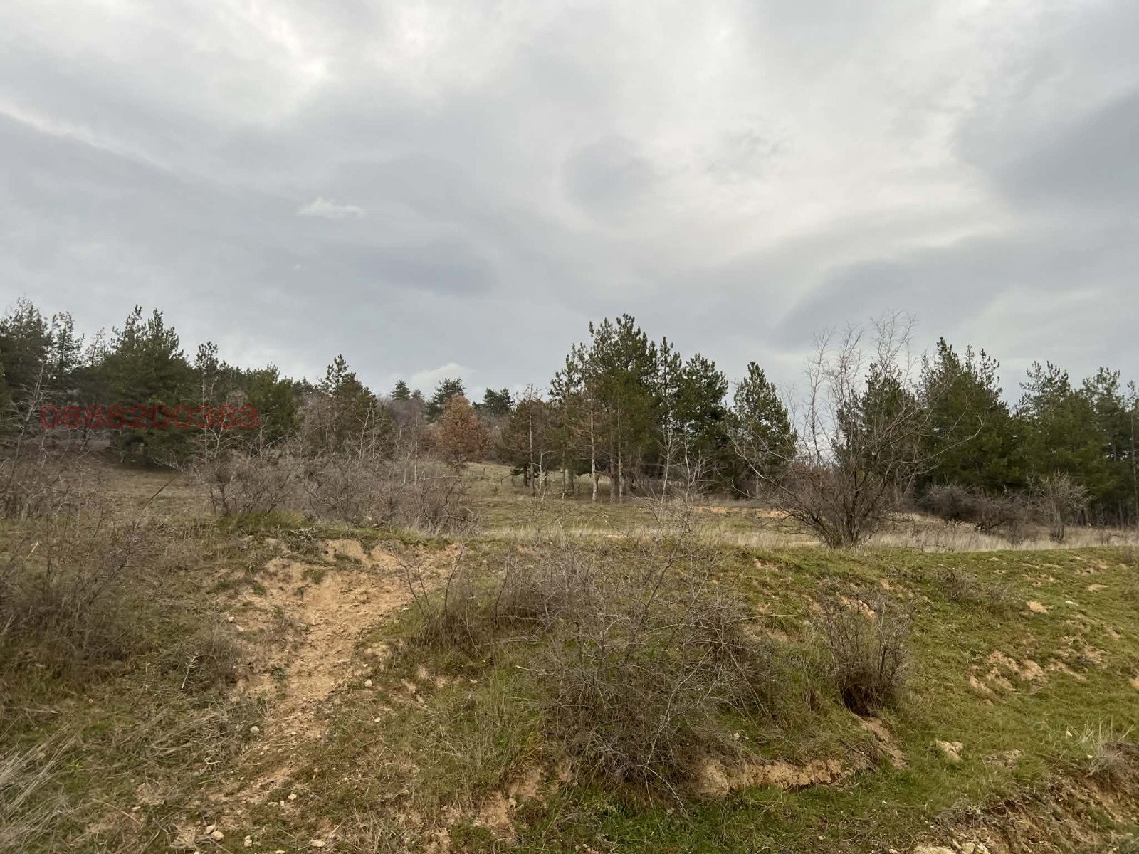 ������� ���������� ���� | Imot.bg � ����������� 5