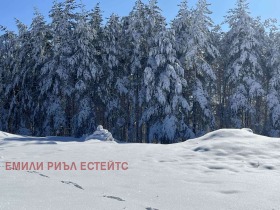 ������� ������ | Imot.bg � ����� ������ 10