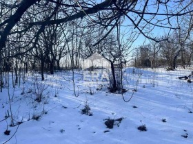 ����� ������� ������,���� ����, �.�. ������ �����