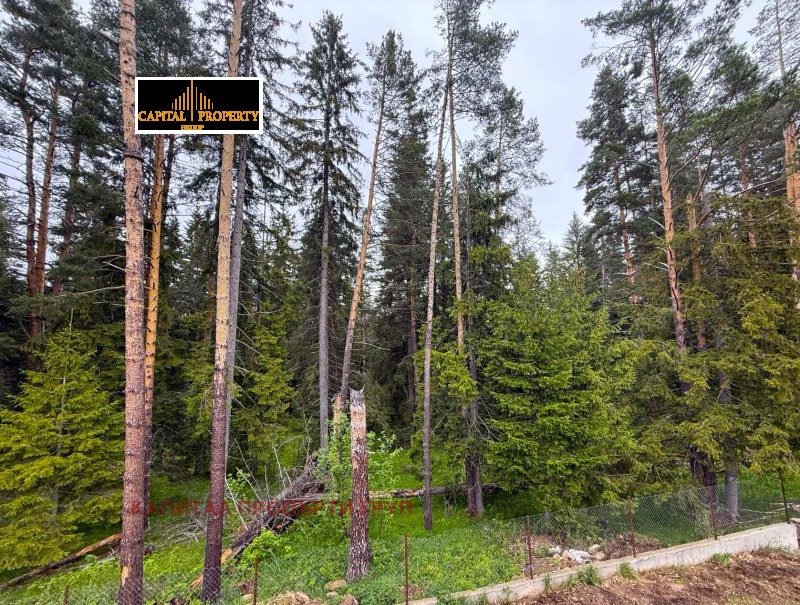 Продава  Къща област София , с. Говедарци , 100 кв.м | 58576072 - изображение [3]