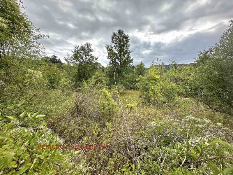 Te koop  Verhaallijn regio Veliko Tarnovo , Veltsjevo , 961 m² | 47401508 - afbeelding [4]