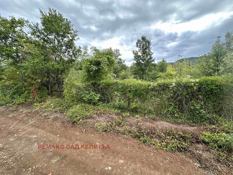Te koop  Verhaallijn regio Veliko Tarnovo , Veltsjevo , 961 m² | 47401508 - afbeelding [3]