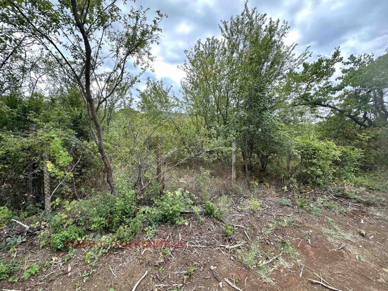 Te koop  Verhaallijn regio Veliko Tarnovo , Veltsjevo , 961 m² | 47401508 - afbeelding [2]