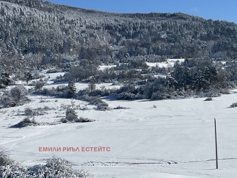 Продава ПАРЦЕЛ, с. Дорково, област Пазарджик, снимка 7 - Парцели - 52331394