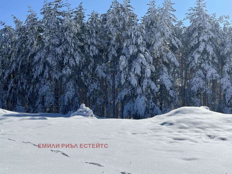 Продава ПАРЦЕЛ, с. Дорково, област Пазарджик, снимка 9 - Парцели - 52331394