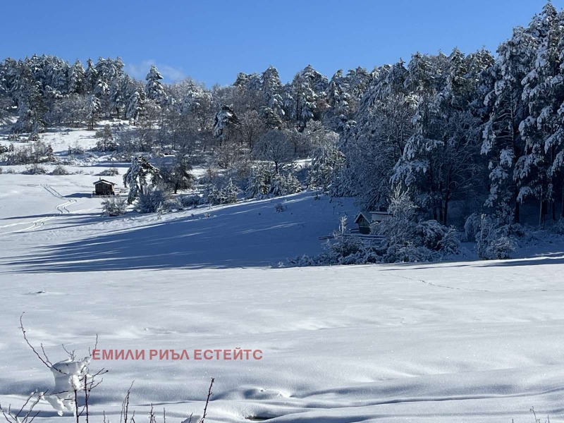 Продава ПАРЦЕЛ, с. Дорково, област Пазарджик, снимка 8 - Парцели - 52331394