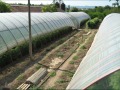 Продава ПАРЦЕЛ, с. Поликраище, област Велико Търново, снимка 2