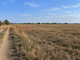 Продава  Земеделска земя, с. Граф Игнатиево