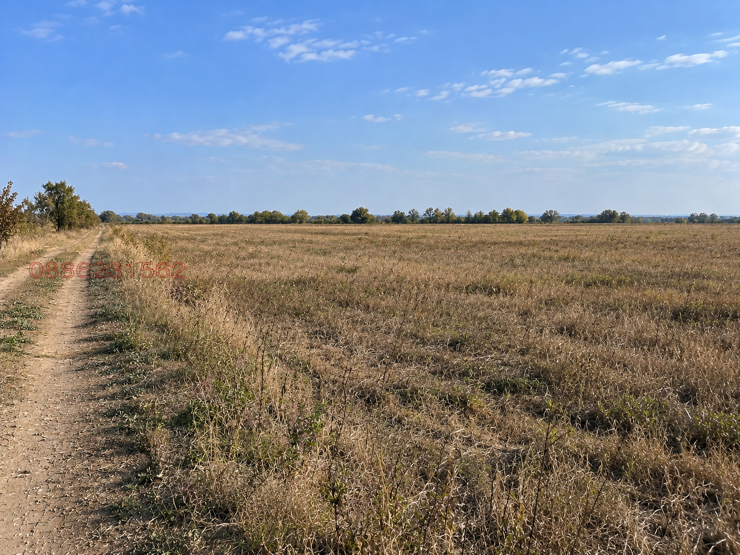 Продава  Земеделска земя област Пловдив , с. Граф Игнатиево , 3 дка | 49801994