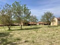 Продава КЪЩА, с. Тотлебен, област Плевен, снимка 15