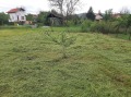 Продава ПАРЦЕЛ, с. Жедна, област Перник, снимка 9