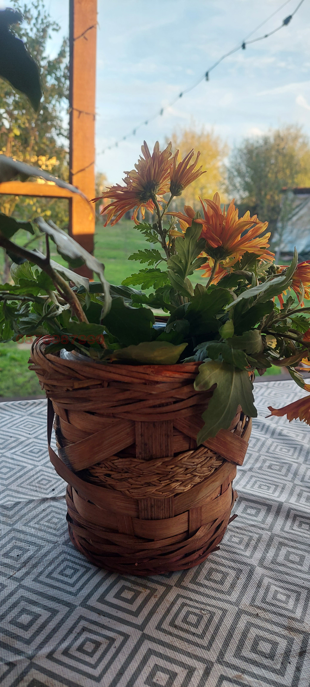 ������� ���� | Imot.bg � ����������� 8