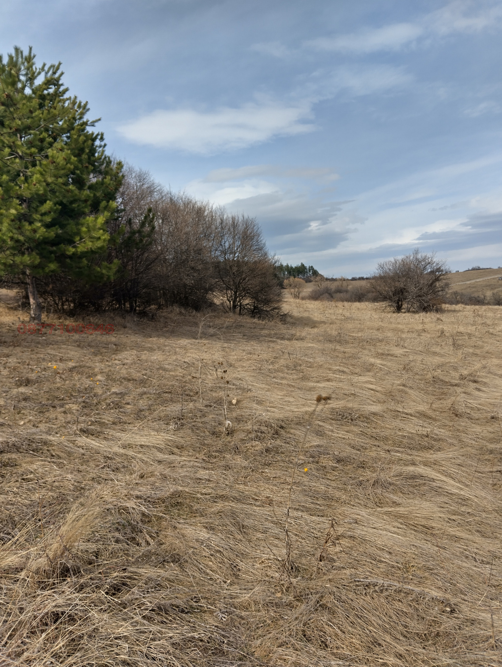 ������� ������ | Imot.bg � ����������� 5