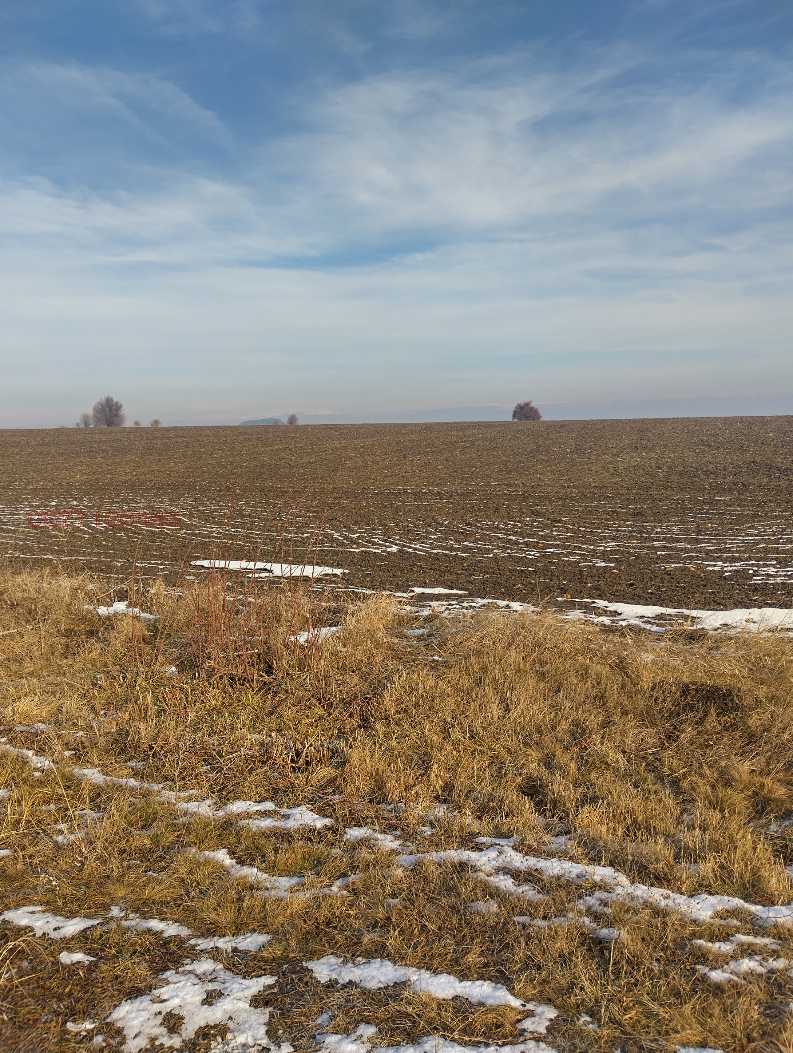 ������� ������ | Imot.bg � ����������� 8