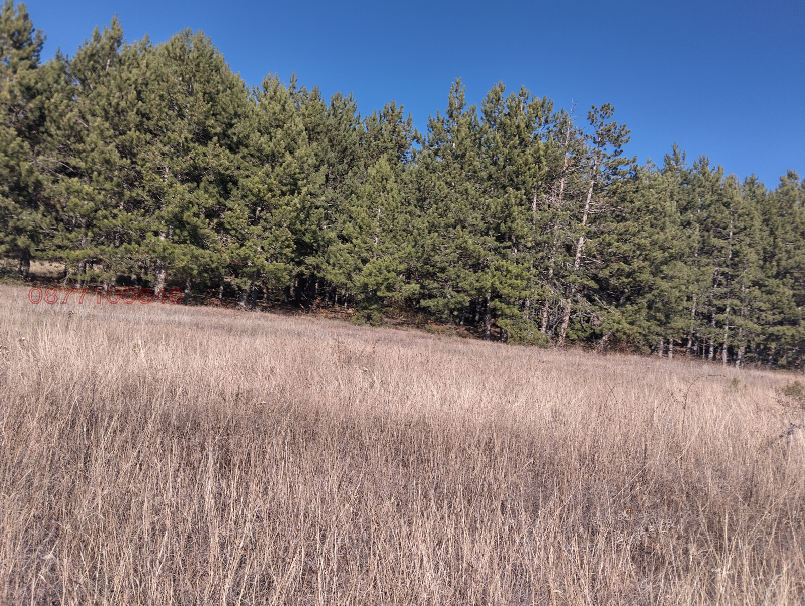 ������� ������ | Imot.bg � ����������� 6