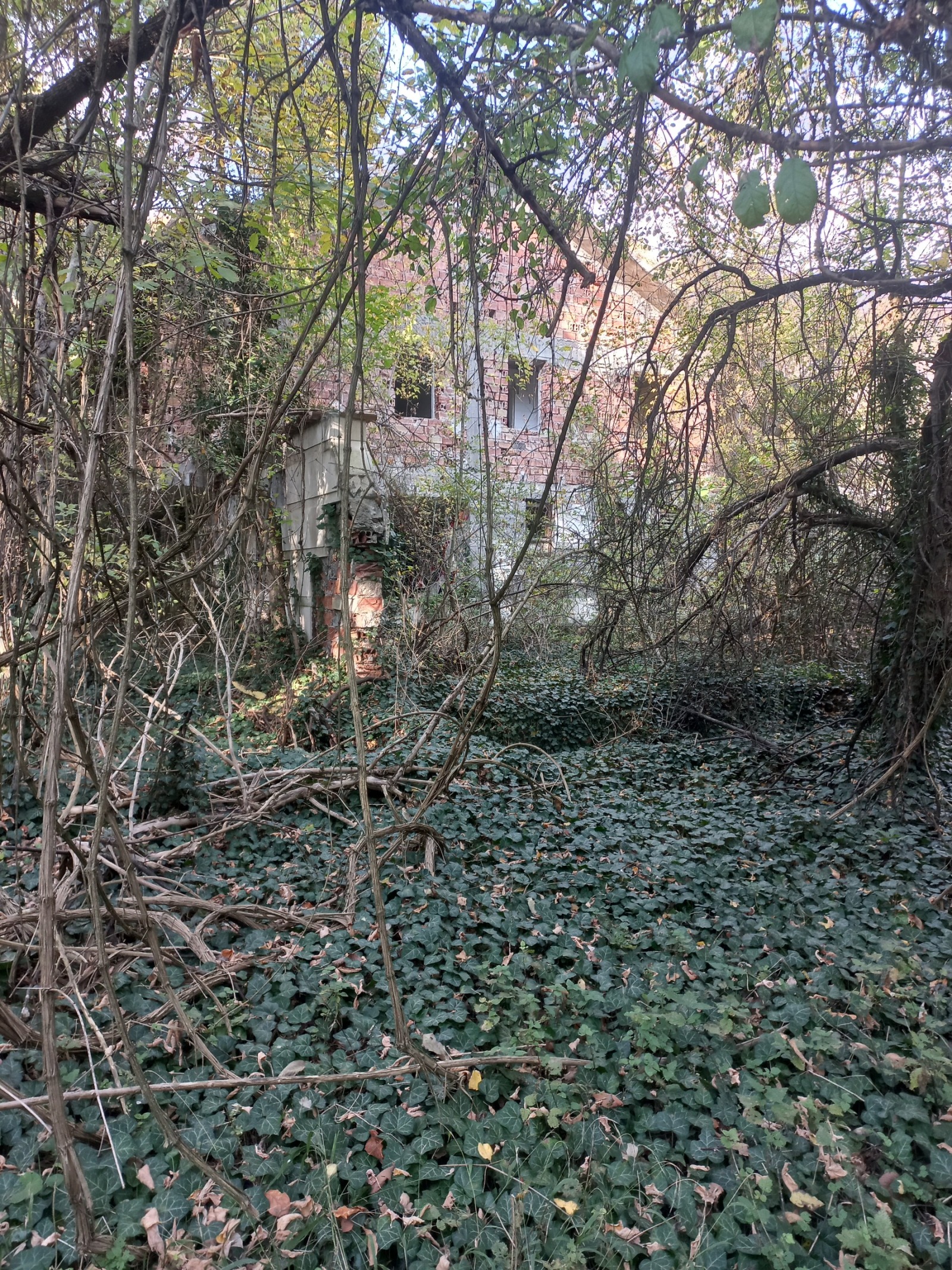 ������� ������������� ������ | Imot.bg � ����������� 3