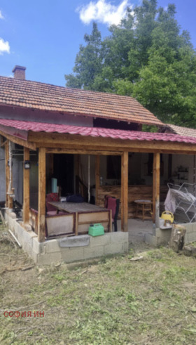 ����� ������� ����,�. ������, ������ ���������