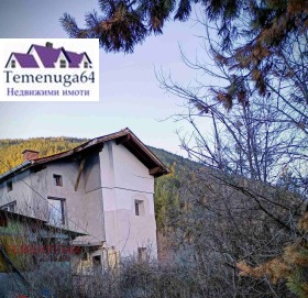 ����� ������� ����,�. ����� �������, ������ �����