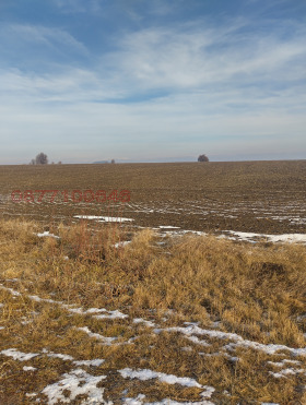 ������� ������ | Imot.bg � ����� ������ 8