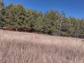 ������� ������ | Imot.bg � ����� ������ 6