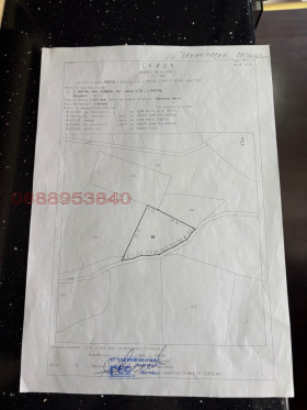 ����� ������� ������,�. ������, ������ �����