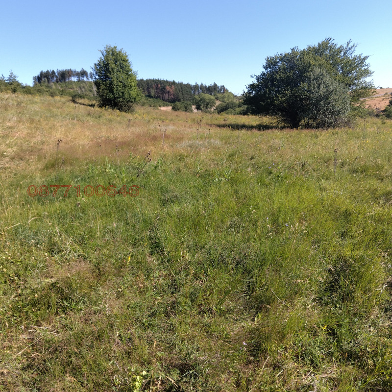 Продава ПАРЦЕЛ, гр. София, гр. Банкя, снимка 2 - Парцели - 53027694