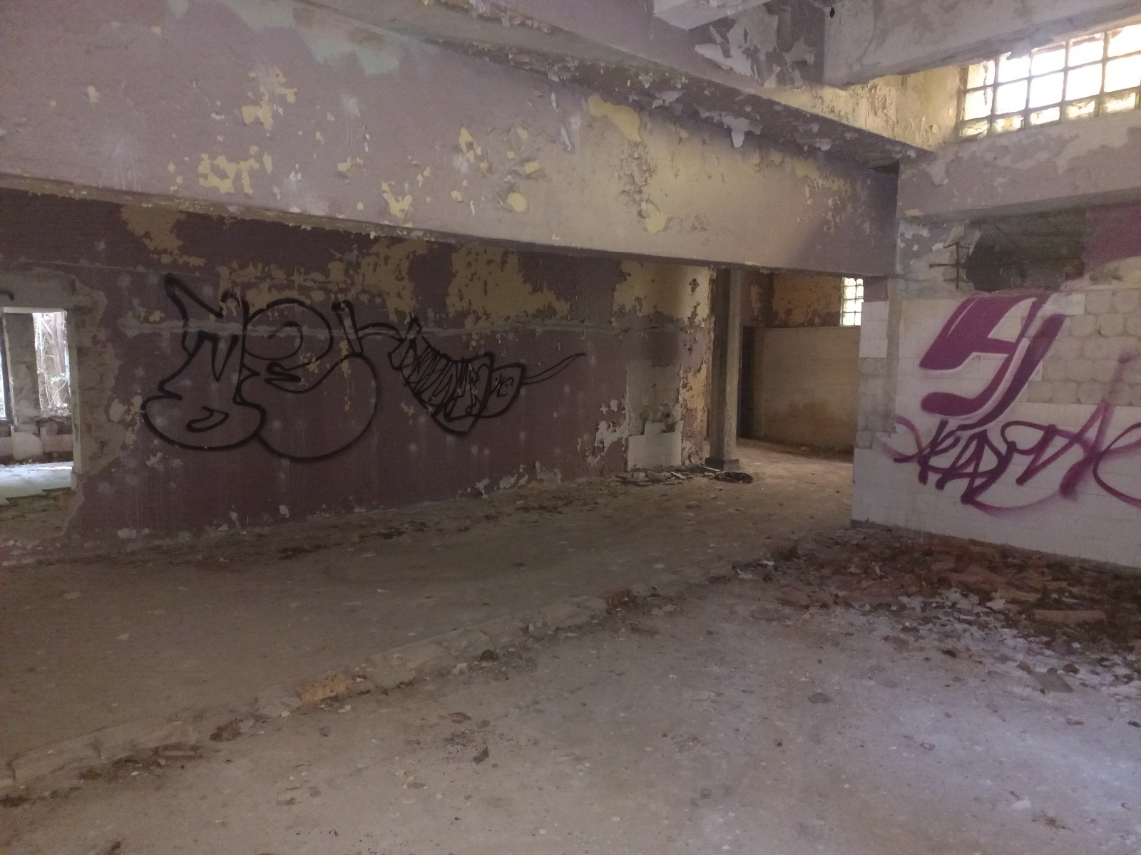 Продава БИЗНЕС ИМОТ, гр. Плевен, Кайлъка, снимка 5 - Други - 53563822