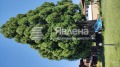 Продава КЪЩА, област София, гр. Долна баня • 265000 € • 90098431 — Holmes.bg