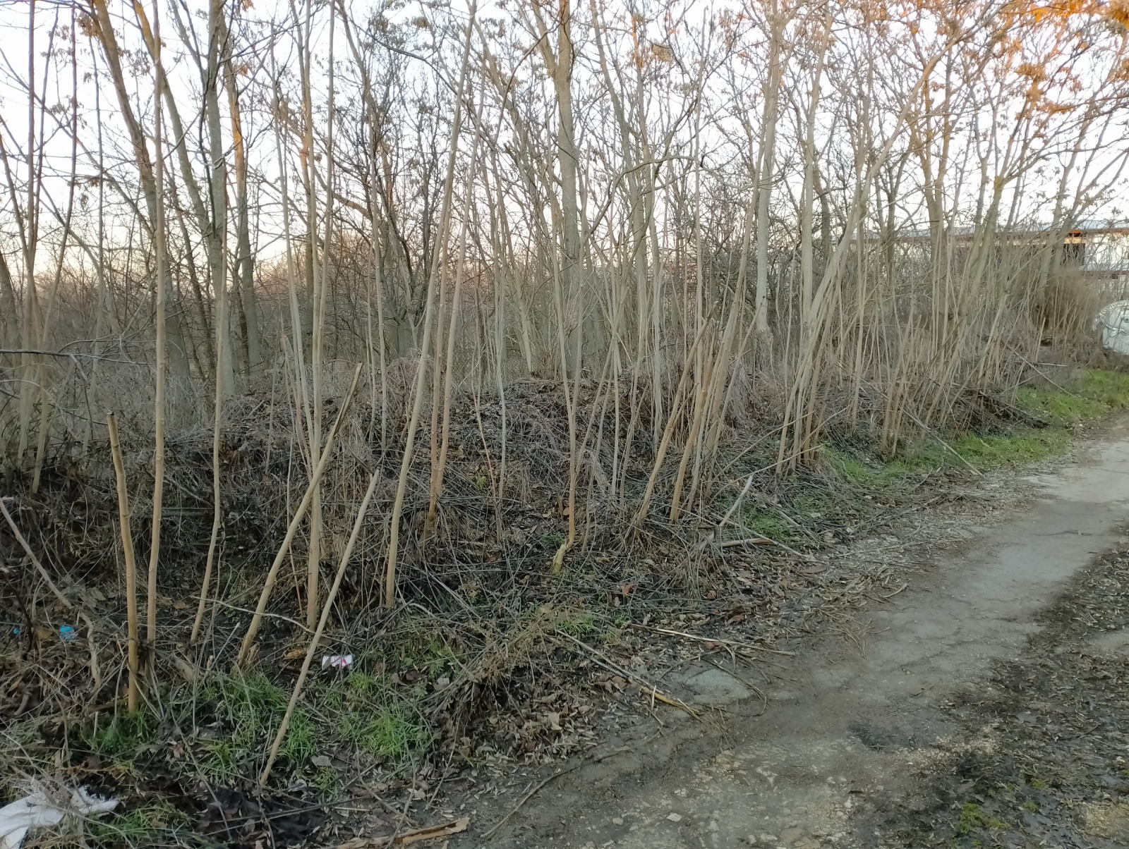 ������� ������ | Imot.bg � ����������� 2