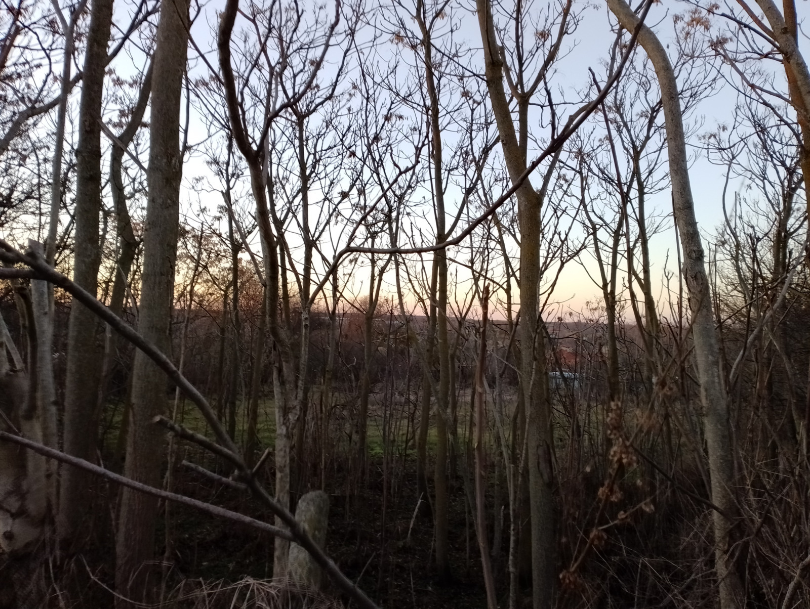 ������� ������ | Imot.bg � ����������� 6