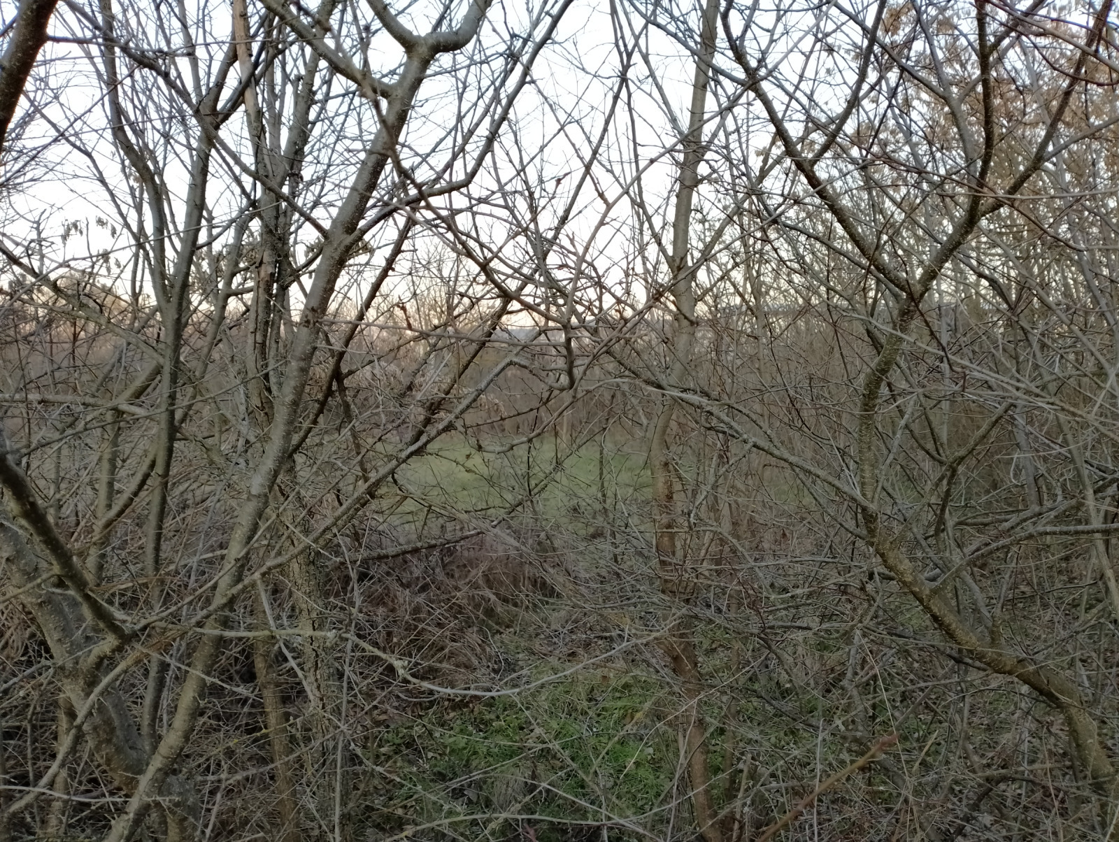 ������� ������ | Imot.bg � ����������� 9