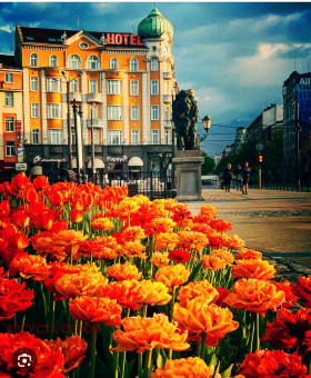 ������� 3-����� | Imot.bg � ����� ������ 13