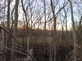 ������� ������ | Imot.bg � ����� ������ 11