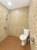 Продава КЪЩА, с. Борущица, област Стара Загора, снимка 16