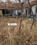 Продава КЪЩА, област Пловдив, с. Ръжево Конаре • 29980 € • 74670813 — Holmes.bg