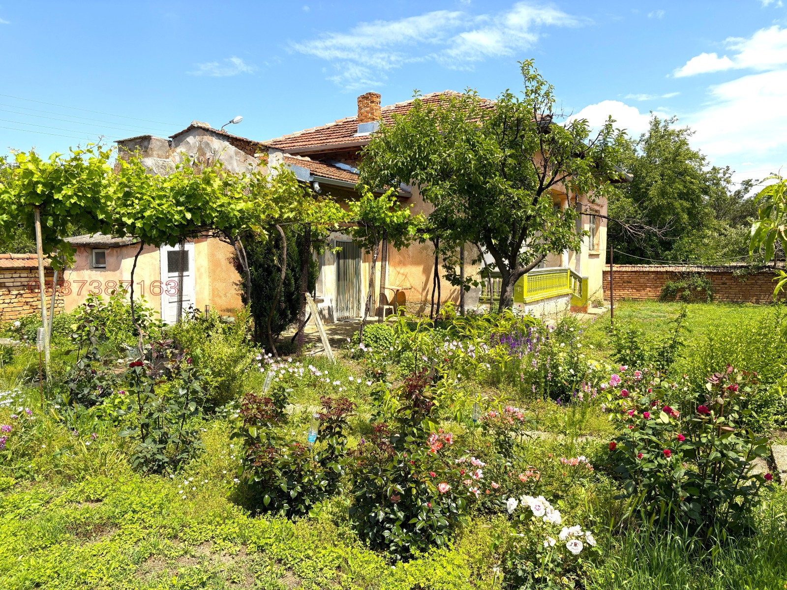 ������� ���� | Imot.bg � ����������� 11