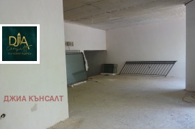 ����� ������� �������,���� �����, ������