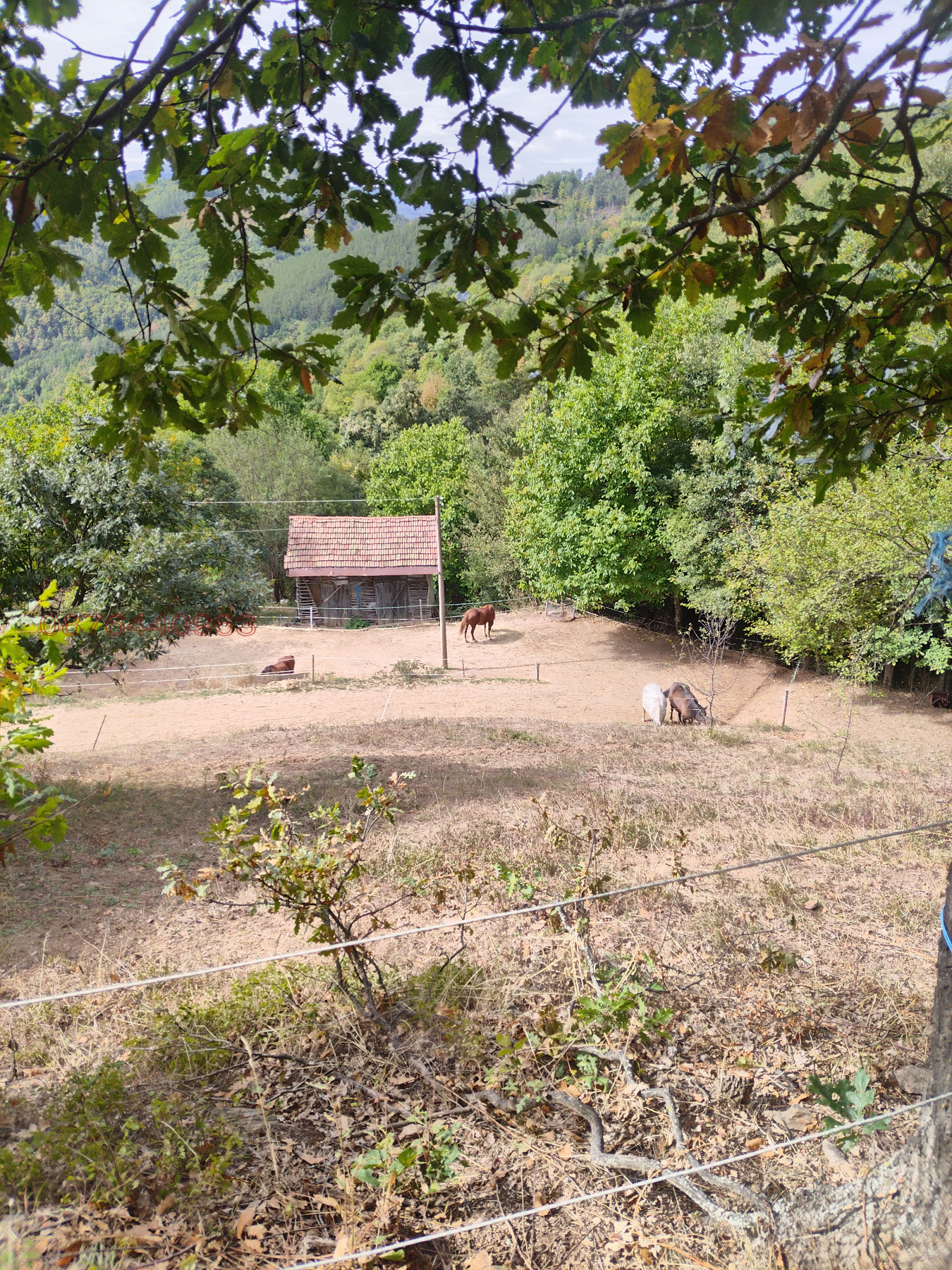 Продава БИЗНЕС ИМОТ, гр. Своге, област София област, снимка 4 - Други - 54065445