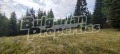 Продава ПАРЦЕЛ, гр. Добринище, област Благоевград, снимка 16