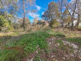 Cselekmény Velika, régió Burgasz 12