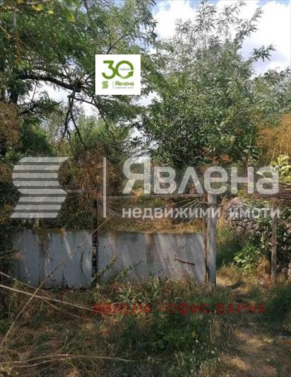 Продава ПАРЦЕЛ, с. Крушари, област Добрич, снимка 5 - Парцели - 56730542