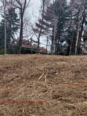 ����� ������� ������,���� �����, ����������