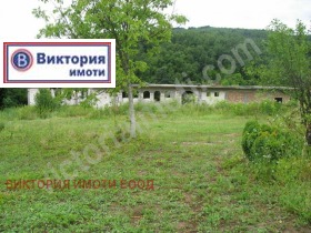 Продажба на имоти в с. Блъсковци, област Велико Търново - изображение 9 