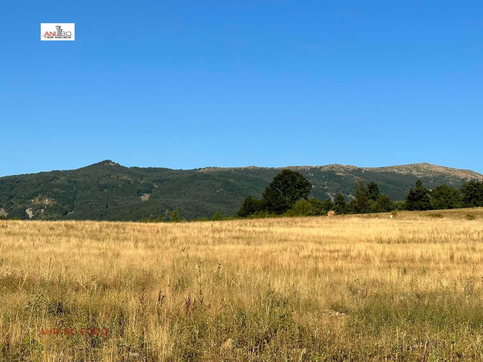 Продава ПАРЦЕЛ, с. Кладница, област Перник, снимка 2 - Парцели - 53715823